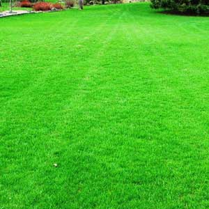 green grass carpet for balcony