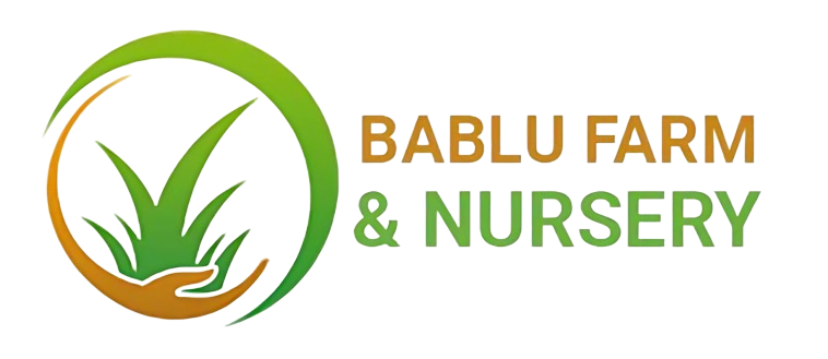 Bablu Farm and Nursery