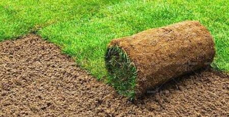 Natural grass supplier in Delhi