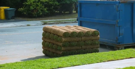 Natural grass supplier