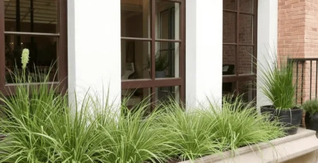 Natural green grasses for balcony