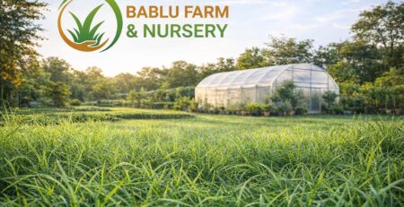 Natural grass mat manufacturer in delhi.,