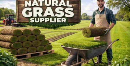 Natural lawn grass suppliers in india