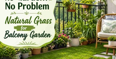 Natural Grass for Balcony Garden Solutions No Space Issue
