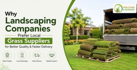 Landscaping companies choosing local grass suppliers for faster delivery, better quality natural grass, and efficient garden installation